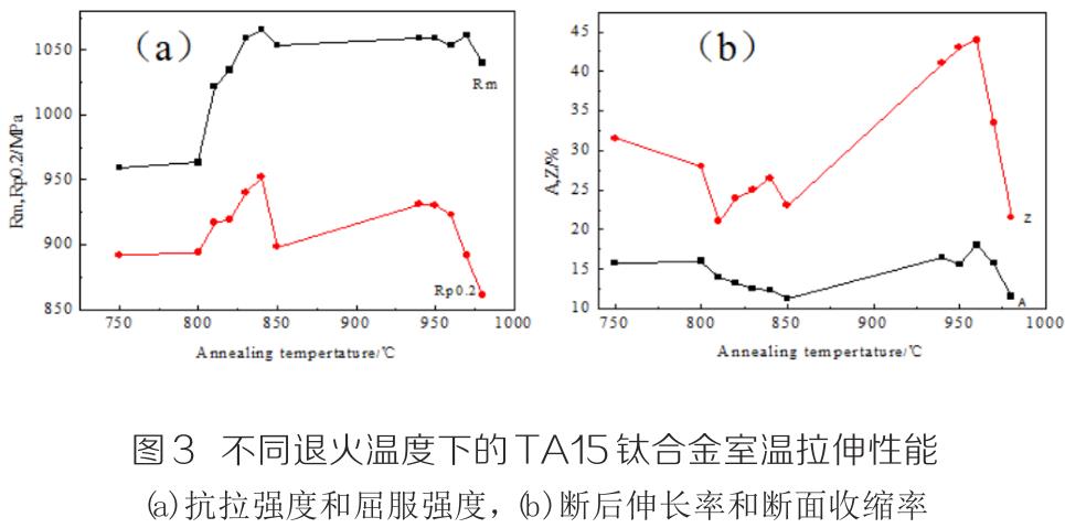 t3.jpg