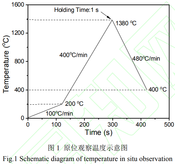 1777360916692460.png 1.png